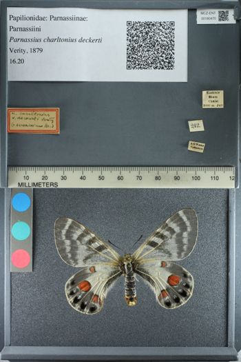 Media type: image;   Entomology 180470